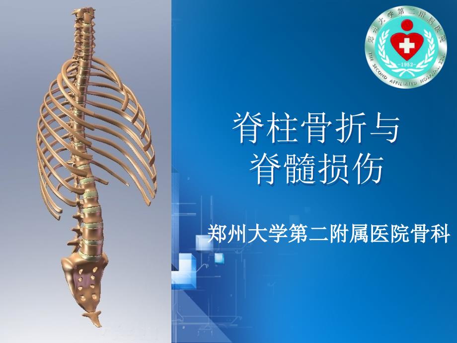 脊柱骨折和脊髓损伤1课件_第1页