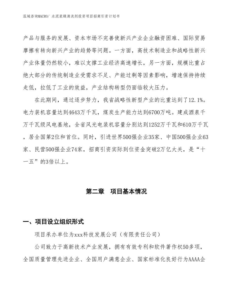 水泥浆缝清洗剂投资项目招商引资计划书_第5页