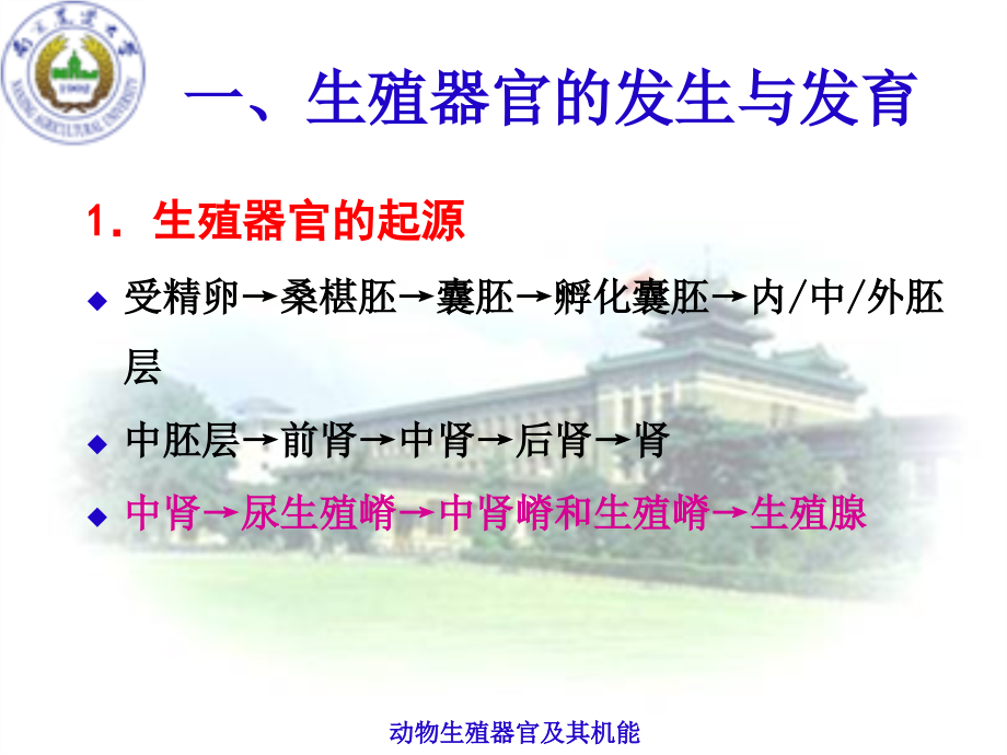 南京农业大学动物繁殖学课件ch01_第4页