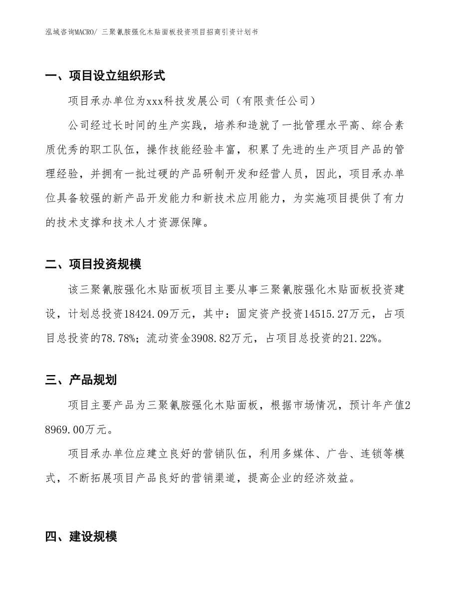 三聚氰胺强化木贴面板投资项目招商引资计划书_第5页