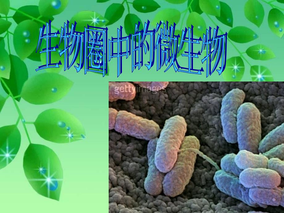 生物圈中的微生物(病毒、细菌、真菌)课件_第1页