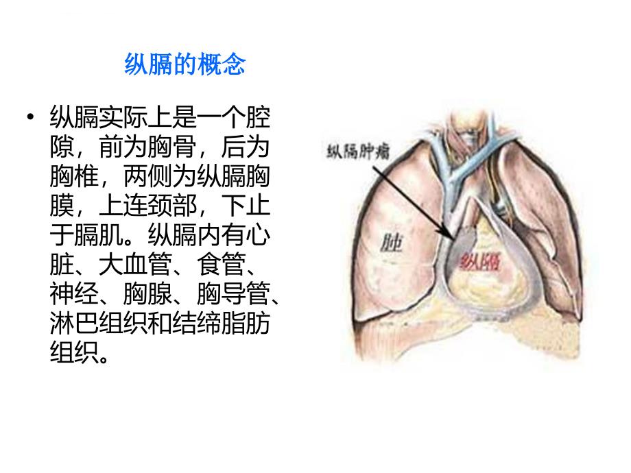 肺的专科护理课件_第4页