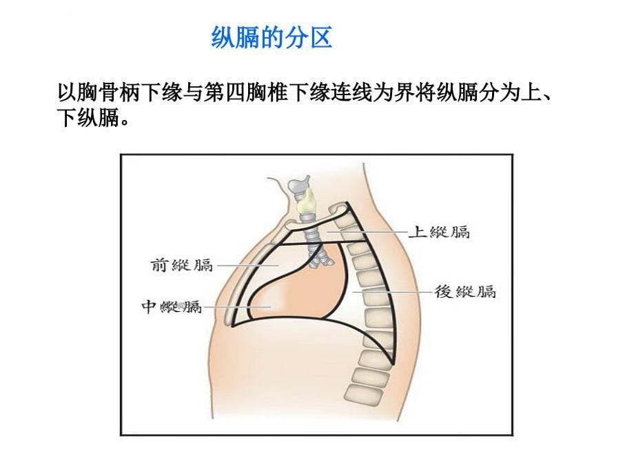 肺的专科护理课件_第5页