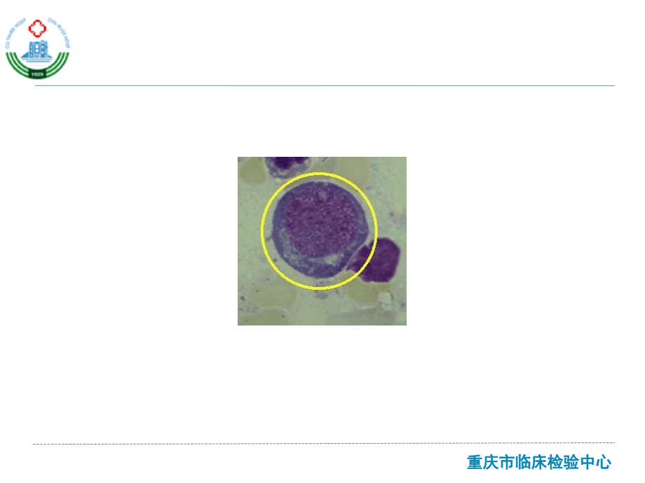 血液形态学课件_第4页