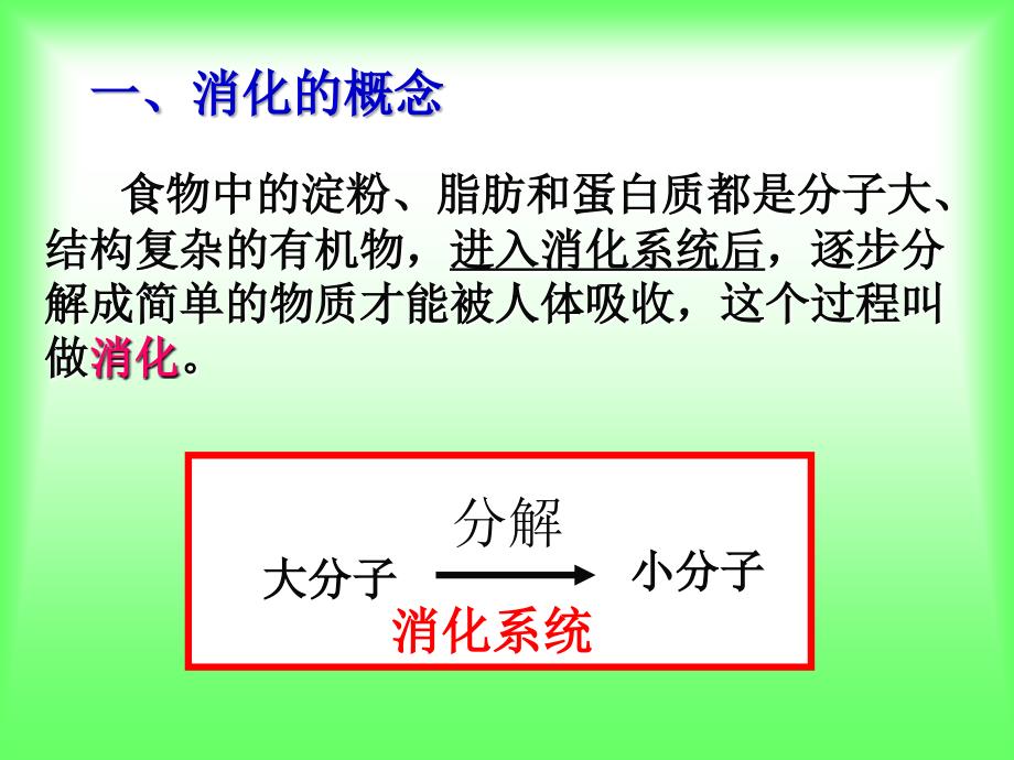 人教版七年级下册生物2.2消化和吸收-(共36张ppt)_第4页