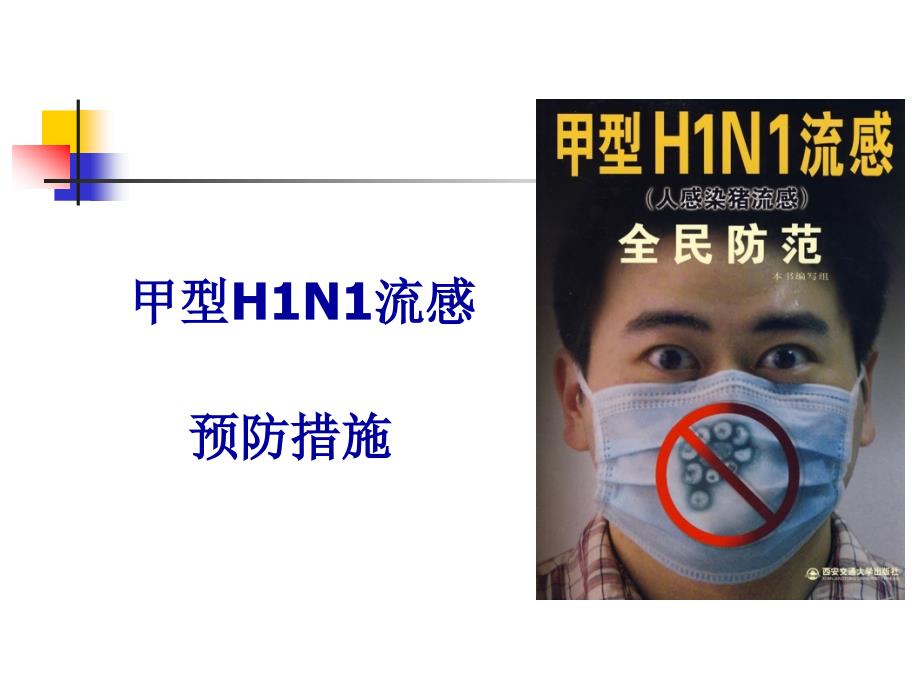 甲型h1n1-演示文稿_第1页