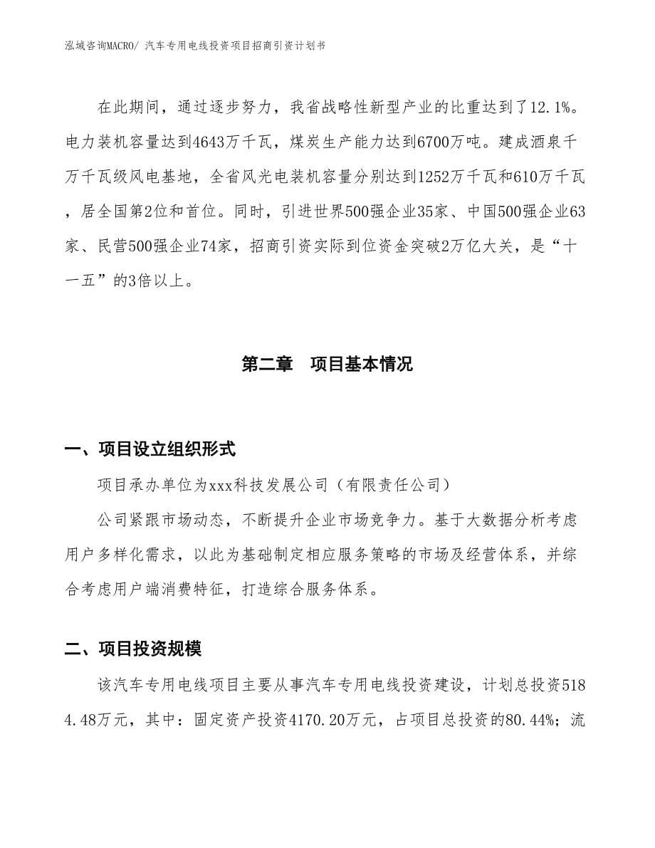 汽车专用电线投资项目招商引资计划书_第5页