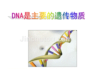 dna是主要的遗传物质-课件作品二等奖