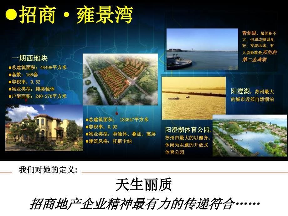 2011年苏州招商地产雍景湾营销策划报告_第5页