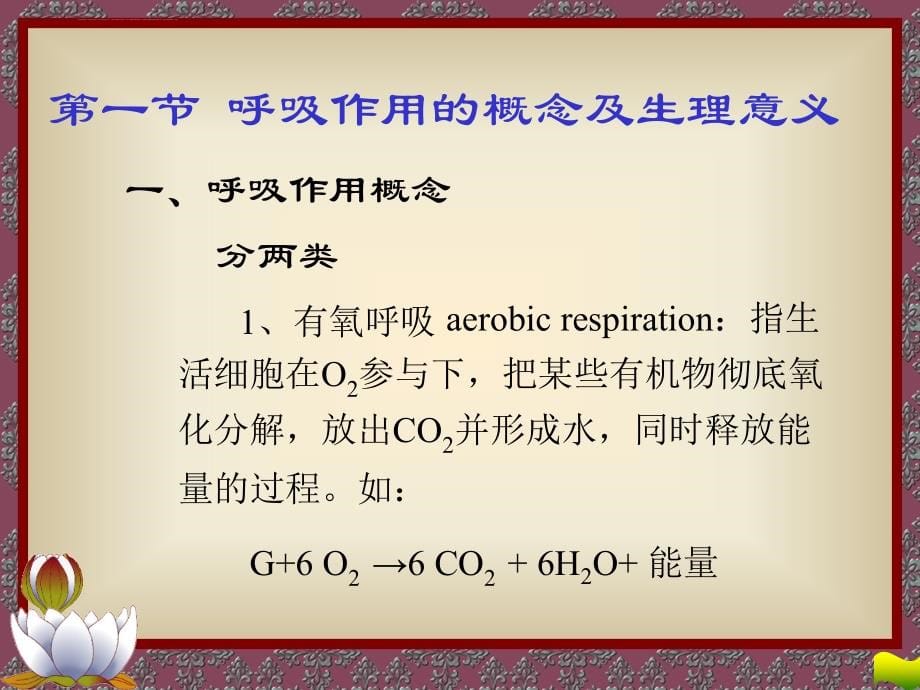 植物生理学之呼吸作用课件_第5页