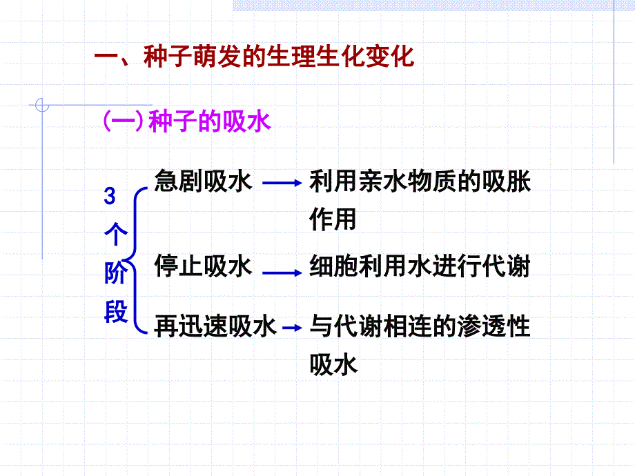 植物生理学-第9章-植物生长生理课件_第3页