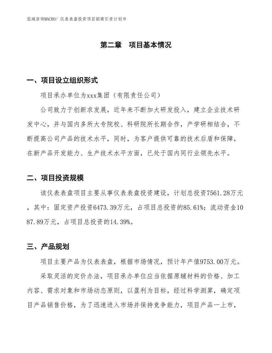 仪表表盘投资项目招商引资计划书_第5页