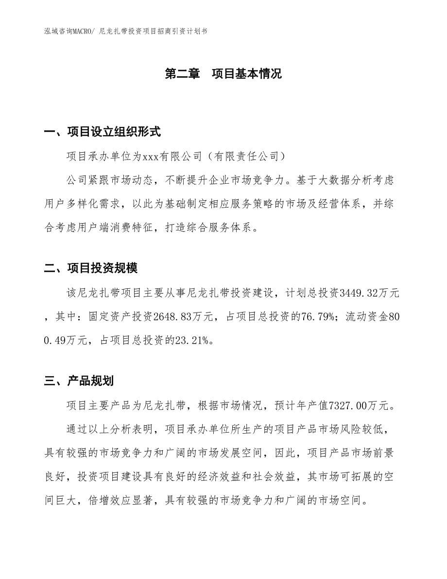 尼龙扎带投资项目招商引资计划书_第5页