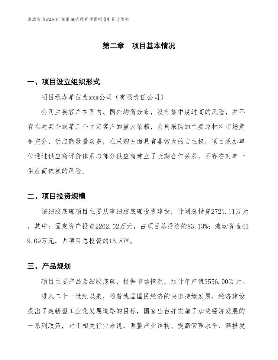 细胶底碟投资项目招商引资计划书_第5页