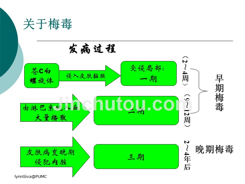 神经梅毒的诊断与治疗课件_第4页