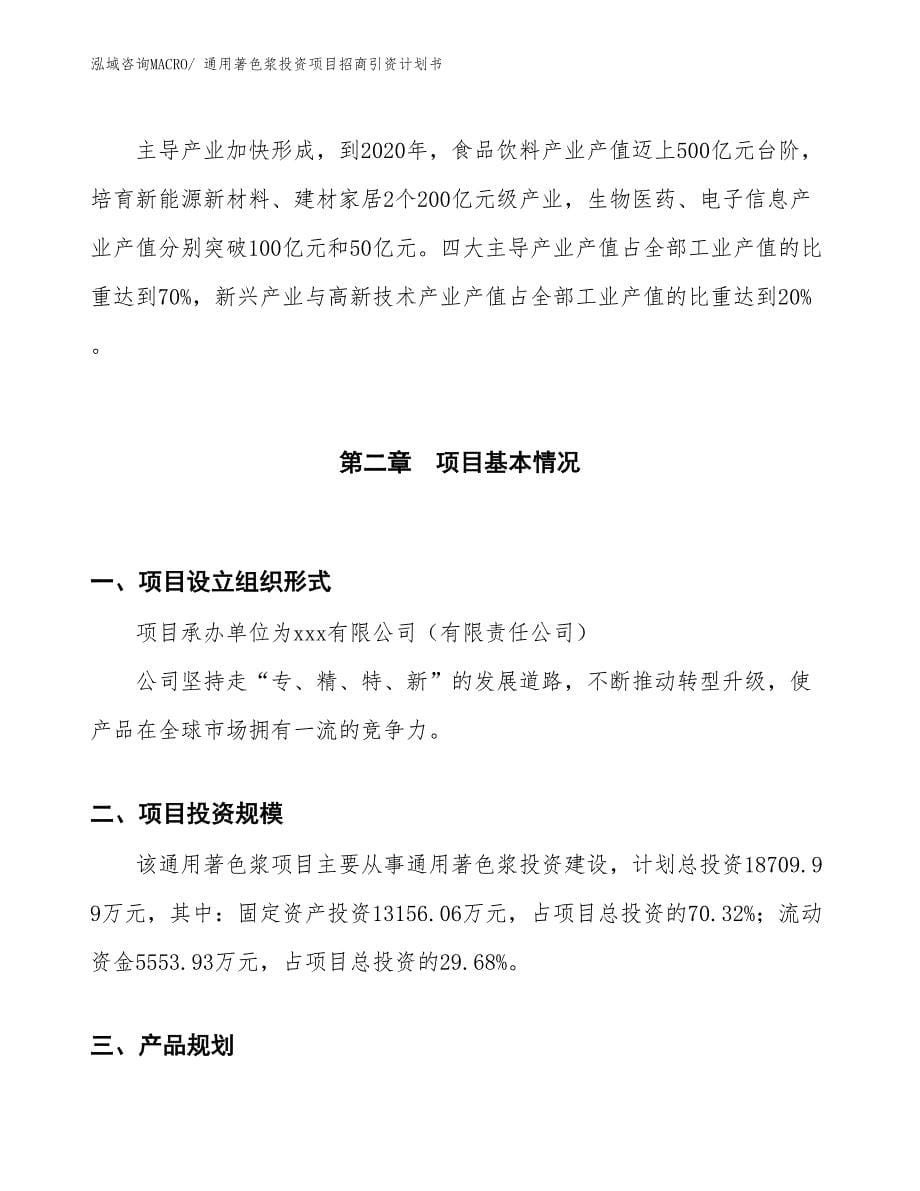 通用著色浆投资项目招商引资计划书_第5页