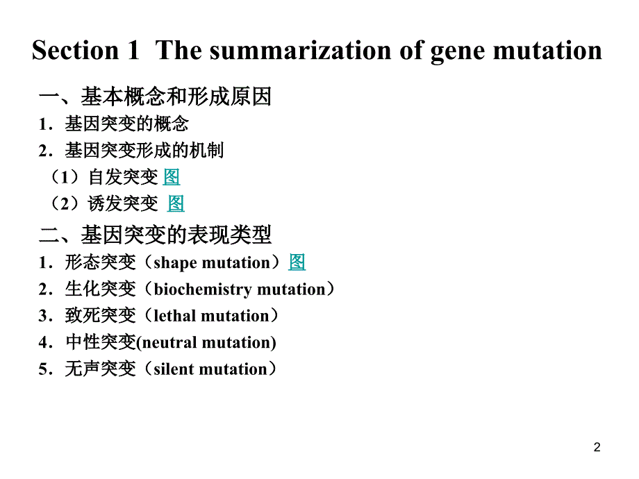 遗传学幻灯片--基因突变_第2页