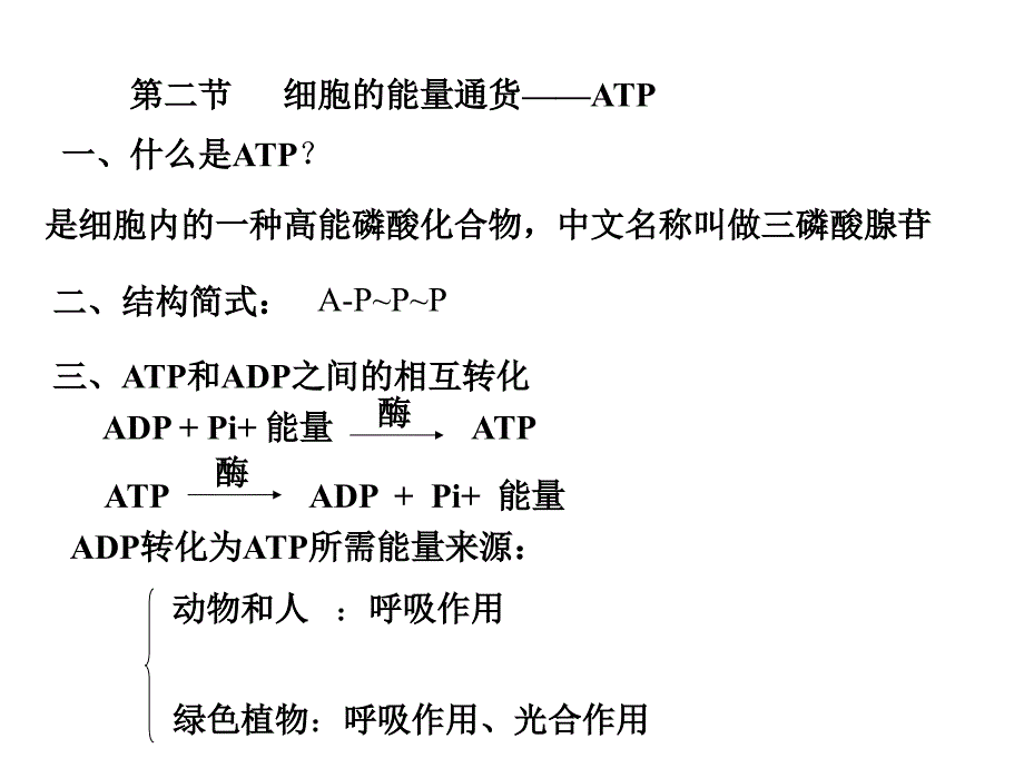 人教版教学课件云南省弥勒县庆来中学2011-2012学年高一生物-细胞的能量供应和利用复习_第4页