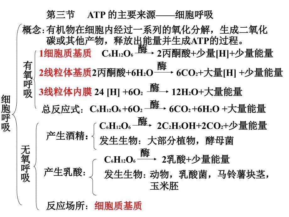 人教版教学课件云南省弥勒县庆来中学2011-2012学年高一生物-细胞的能量供应和利用复习_第5页