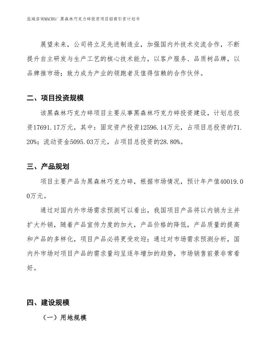 黑森林巧克力碎投资项目招商引资计划书_第5页