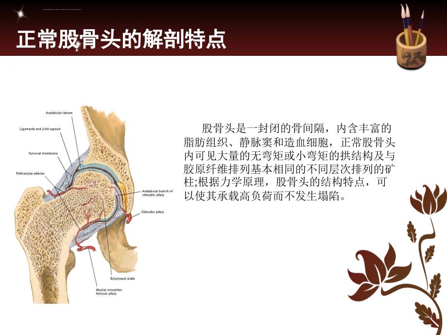 股骨颈髓腔内药物注射治疗股骨头缺血性坏死课件_第3页