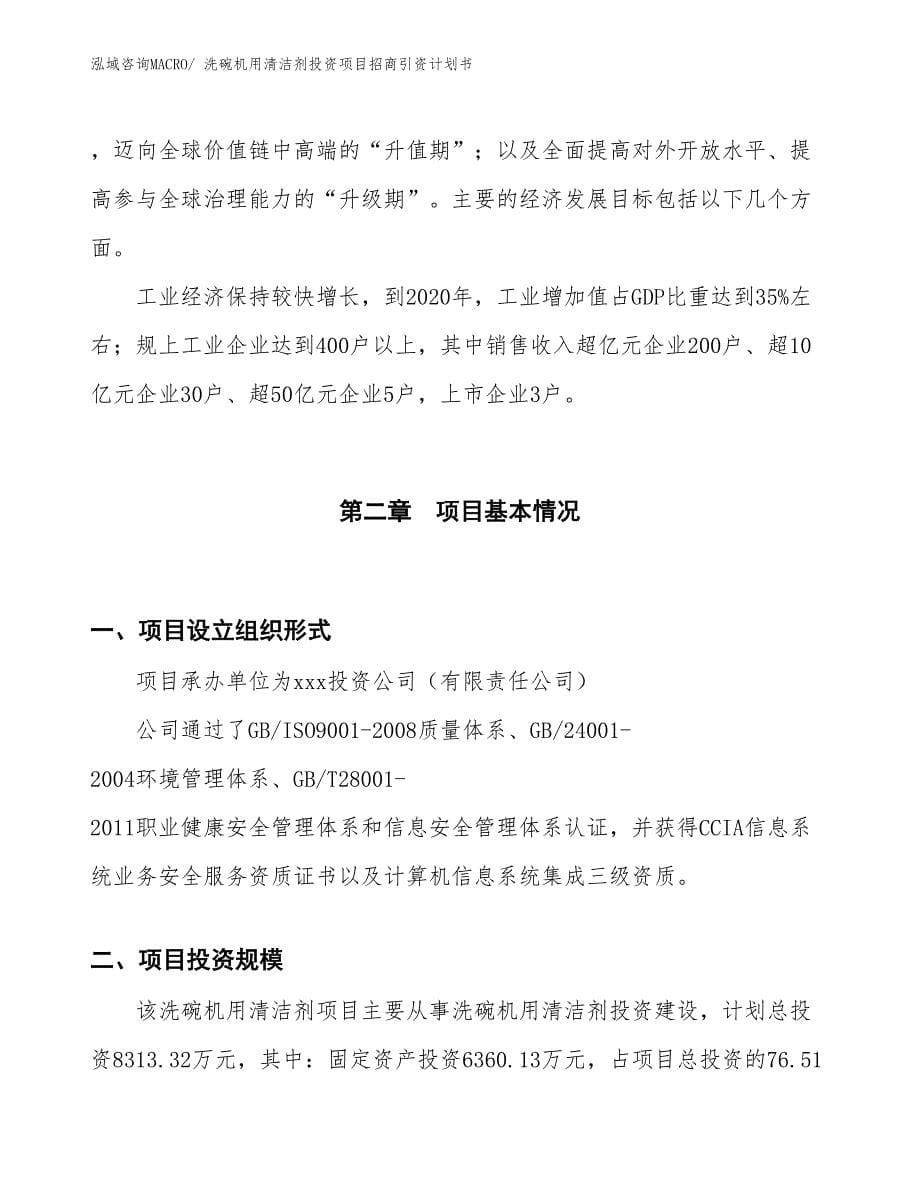 洗碗机用清洁剂投资项目招商引资计划书_第5页