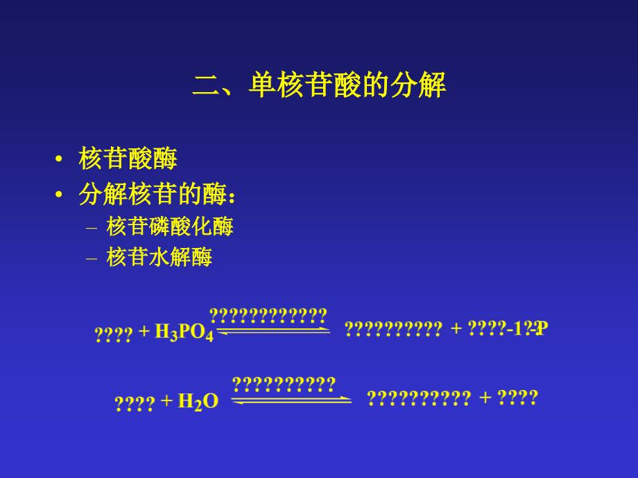 沈阳药科大学生物化学课件11-核酸代谢与蛋白质生物合成_第4页