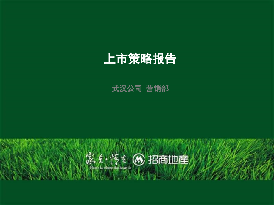 2013年武汉招商地产·公园上市策略报告精选_第1页