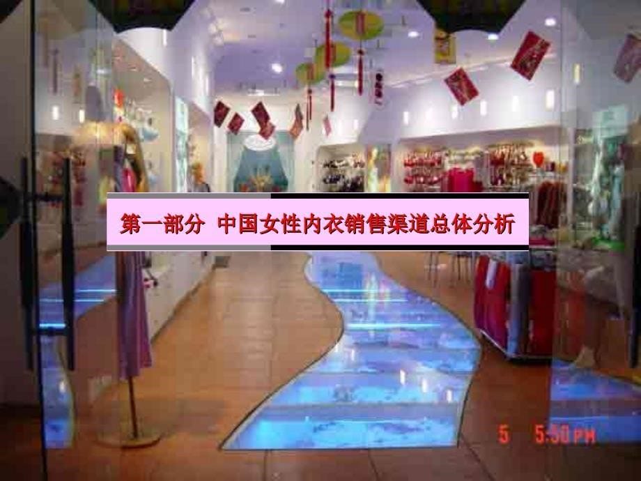 2003中国女性内衣销售渠道研究报告1_第5页