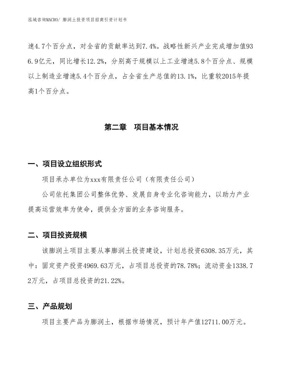 膨润土投资项目招商引资计划书_第5页