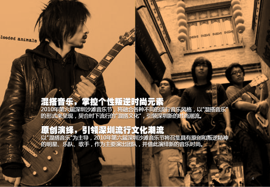 2010年第6届深圳沙滩音乐节活动策划方案_第4页