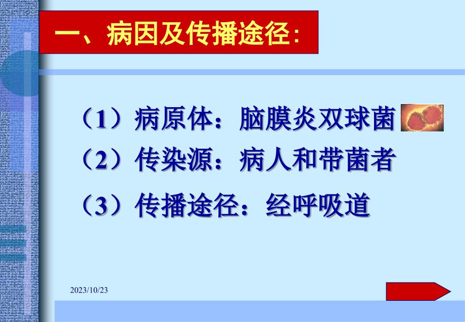 神经系统疾病-病理学教研室课件_第3页