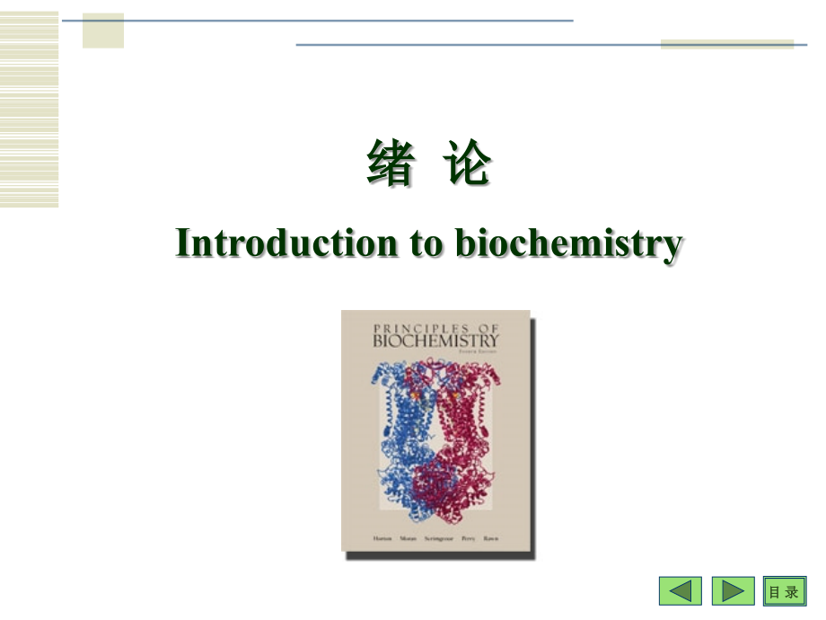 《生物化学》-绪论和蛋白质_第3页