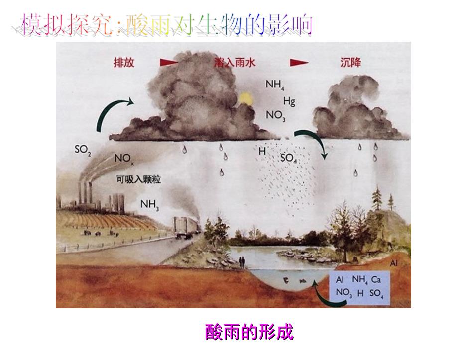 七年级生物第二节-探究环境污染对生物的影响课件人教版_第2页