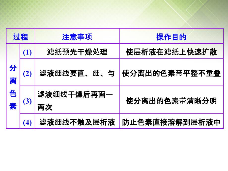 2016届高考生物一轮复习-第三单元-第3讲-第1课时-绿叶中色素的提取和分离课件-新人教版必修1_第4页