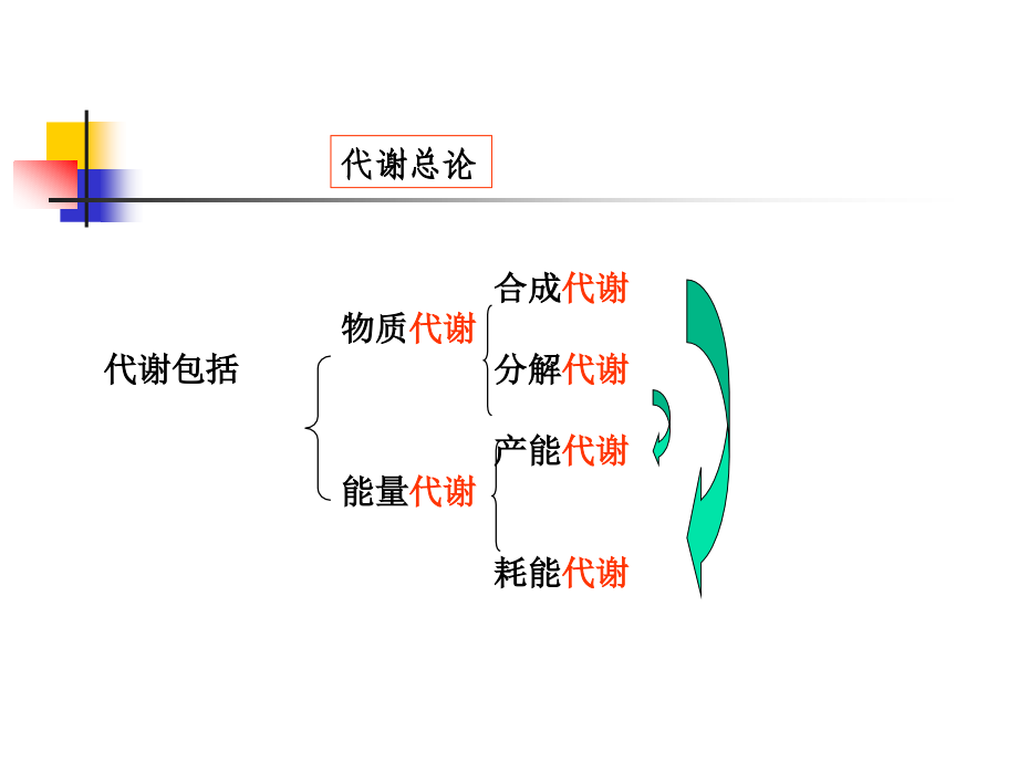 生化课件(华中师大)-生化7第七章糖代谢_第3页