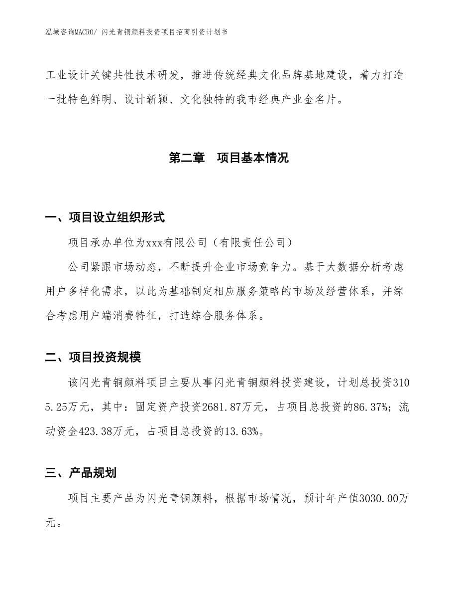 闪光青铜颜料投资项目招商引资计划书_第5页