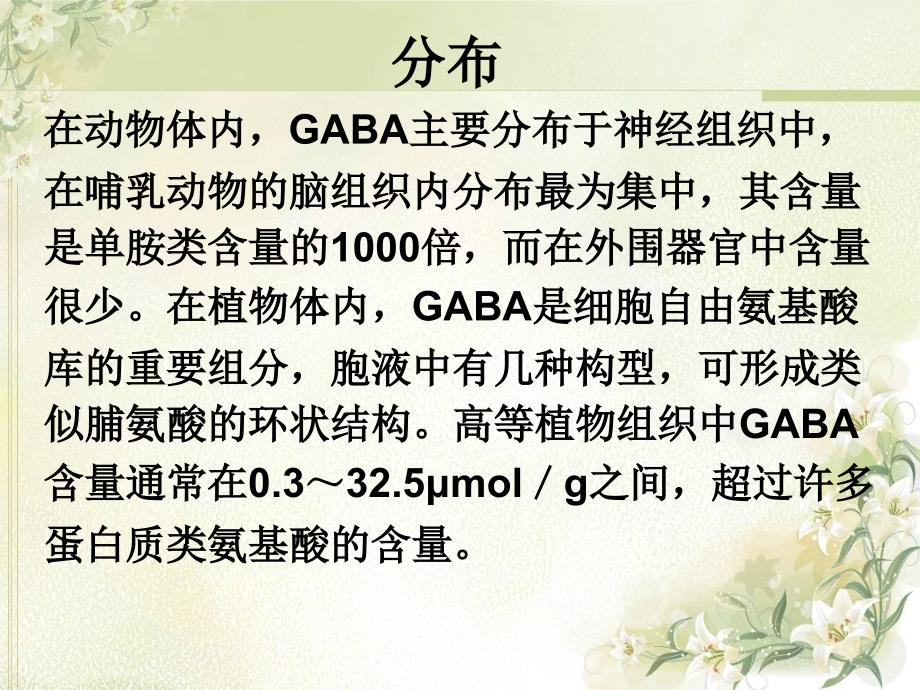 氨基丁酸（gaba）课件_第3页