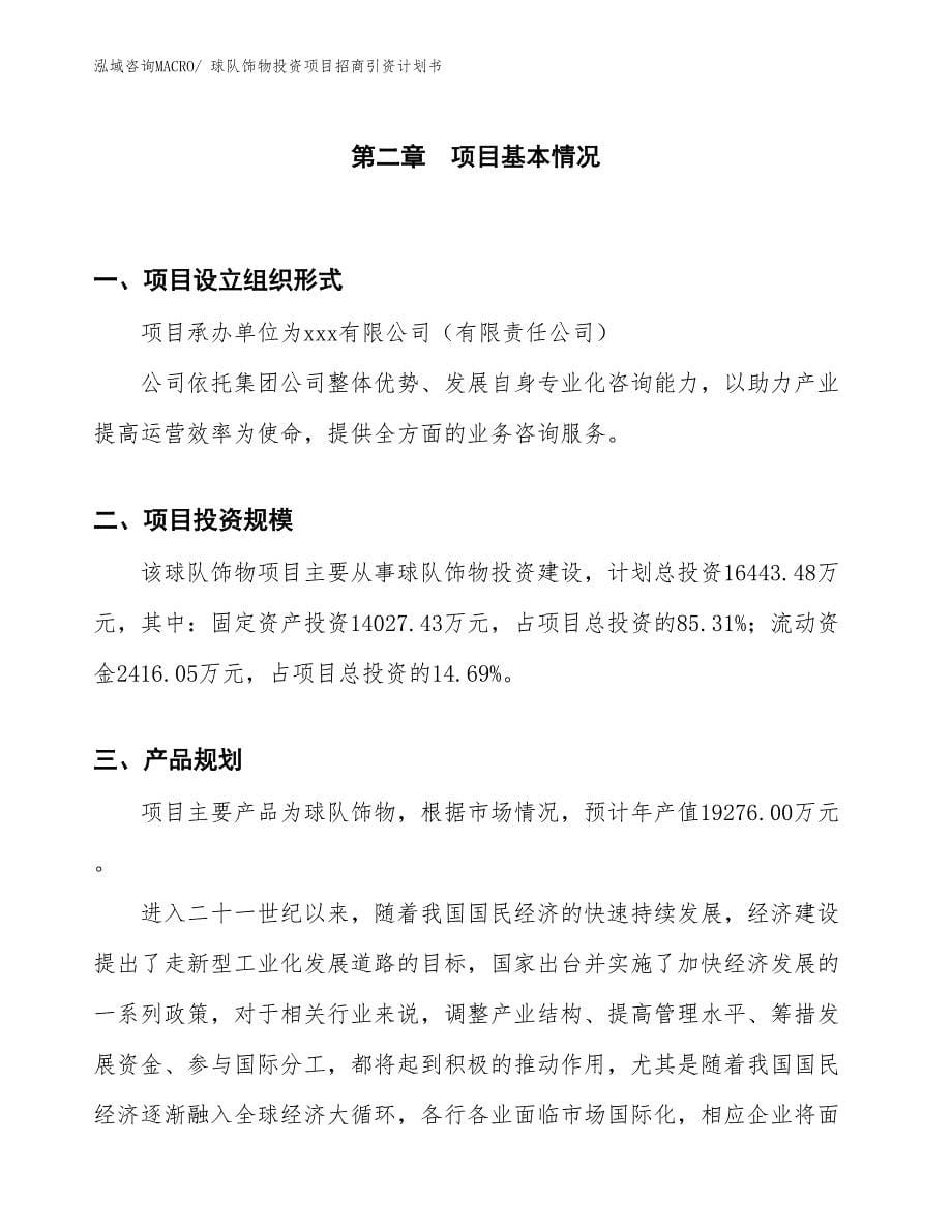 球队饰物投资项目招商引资计划书_第5页