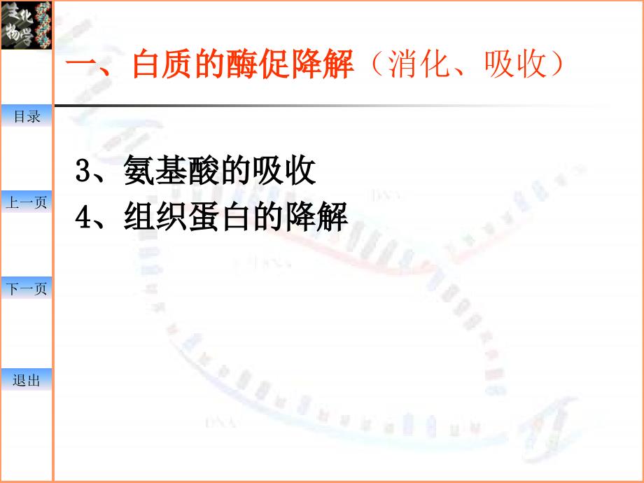 中国药科大学生物化学课件—09-氨基酸代谢_第4页