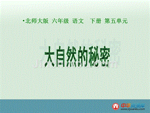 2014六年级语文下第5单元冲突大自然的秘密课件北师大版