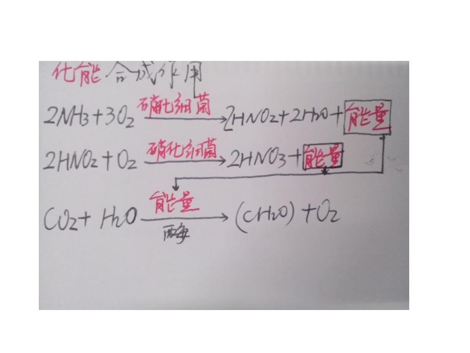 学业水平测试-课件-生态系统的物质循环_第1页