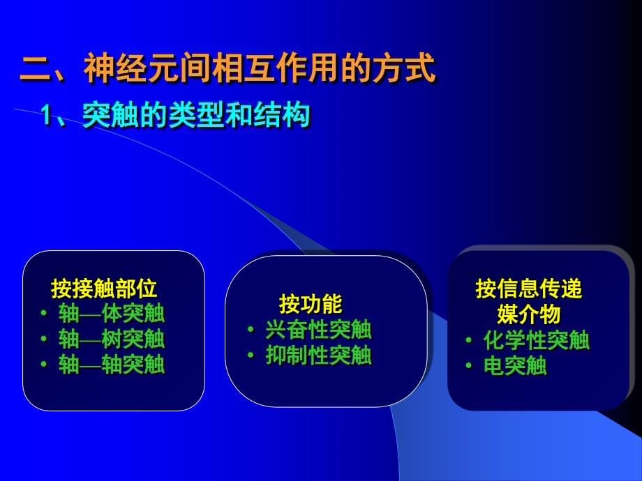 神经系统-ppt人体解剖学课件_第5页