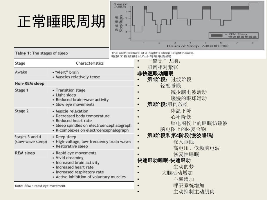 睡眠与衰老李淮玉课件_第4页