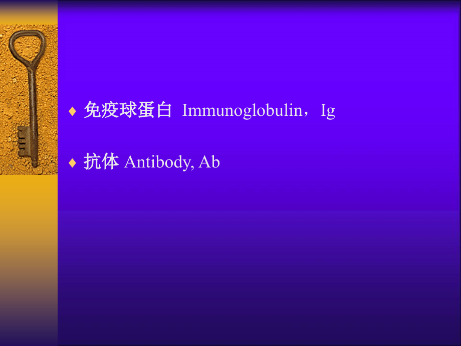 免疫球蛋白ppt-医学免疫学课件_第2页