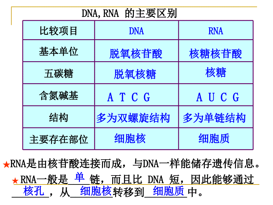 2-4-1基因指导蛋白质的合成.ppt_第3页