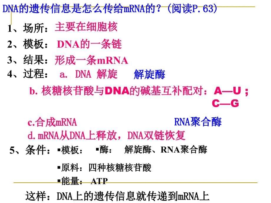 2-4-1基因指导蛋白质的合成.ppt_第5页