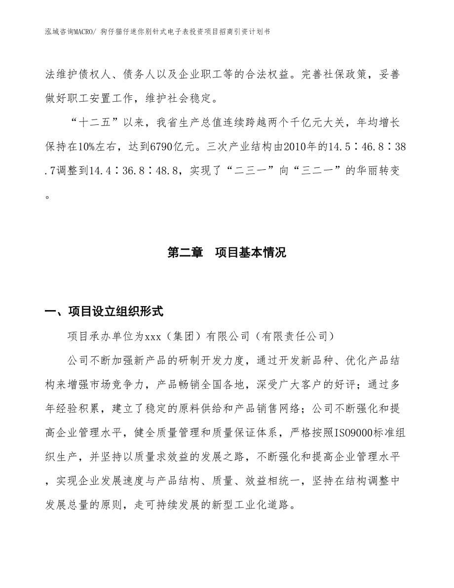 狗仔猫仔迷你别针式电子表投资项目招商引资计划书_第5页