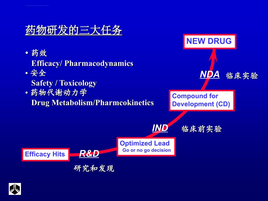 药代动力学在新药研发中的作用课件_第2页