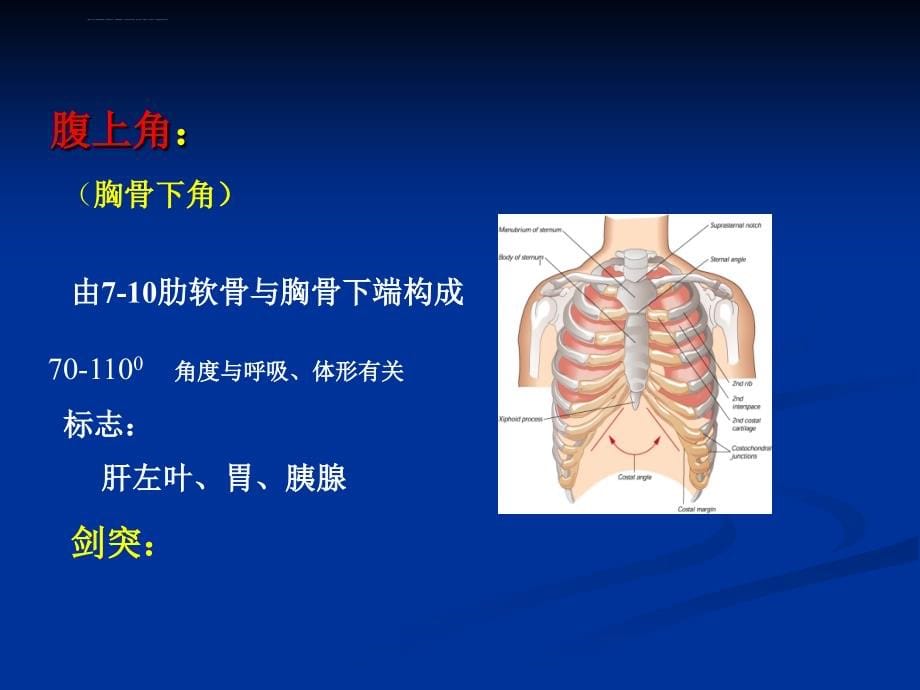肺和胸膜检查课件_第5页